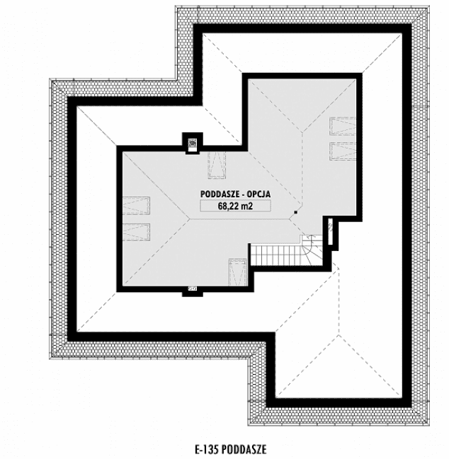 Rzut projektu E-135 -  