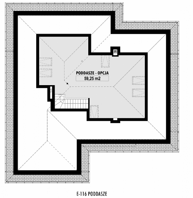 Rzut projektu E-116 -