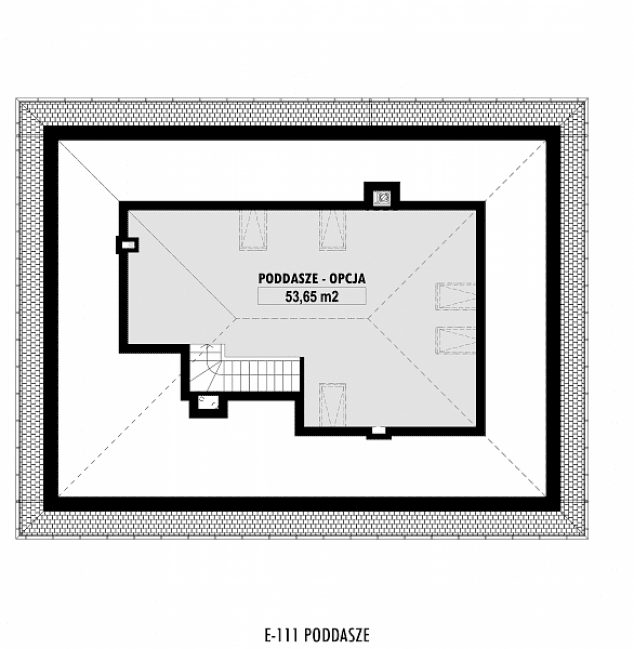 Rzut projektu E-111 -