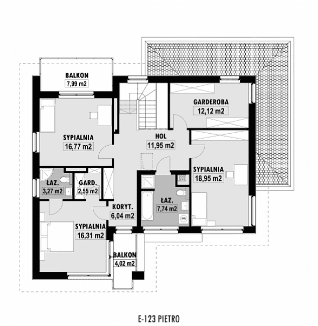 Rzut projektu E-123 -