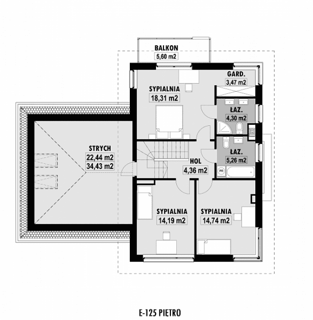 Rzut projektu E-125 -