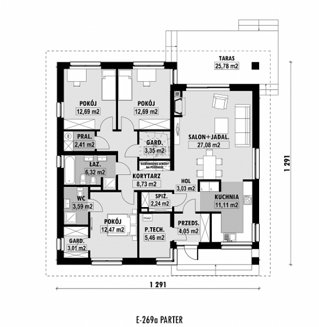 Rzut projektu E-269a -