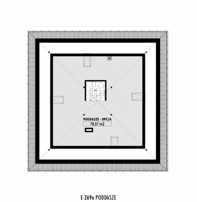 Rzut projektu E-269a -