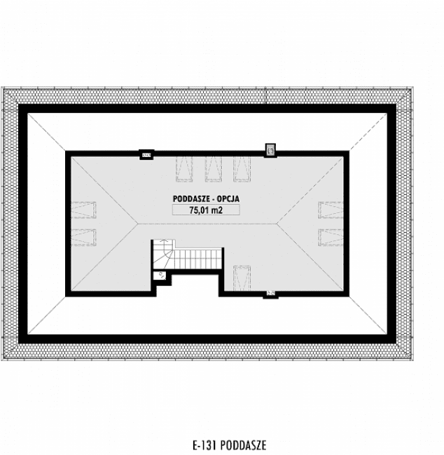 Rzut projektu E-131 -