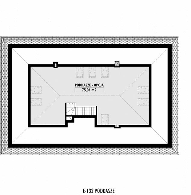 Rzut projektu E-132 -