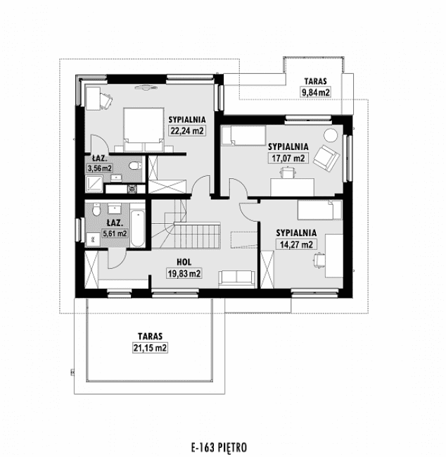 Rzut projektu E-163 -
