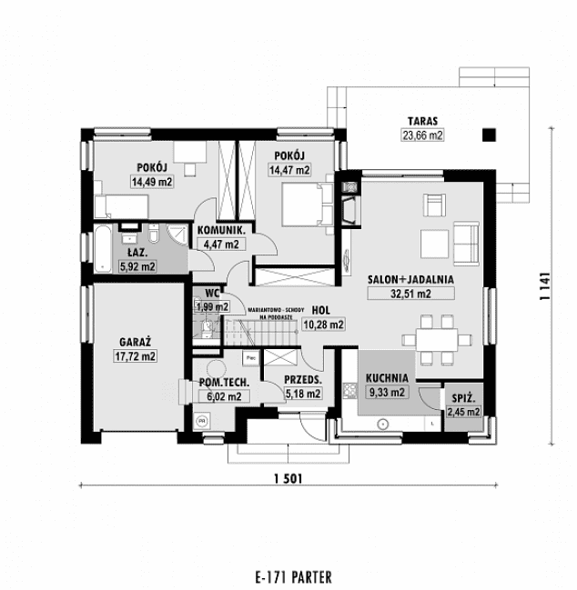 Rzut projektu E-171 -