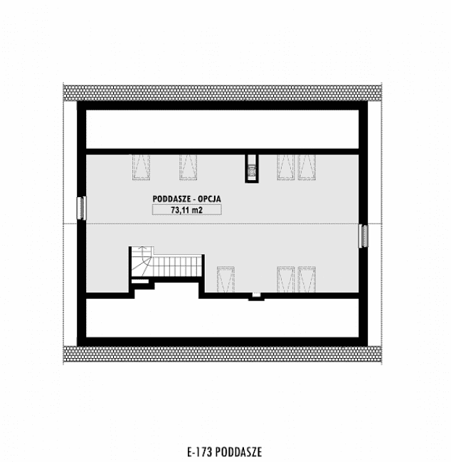 Rzut projektu E-173 -