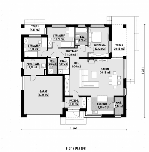Rzut projektu E-205 -  