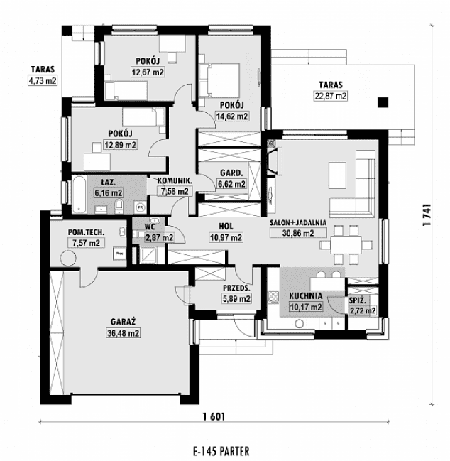 Rzut projektu E-145 -