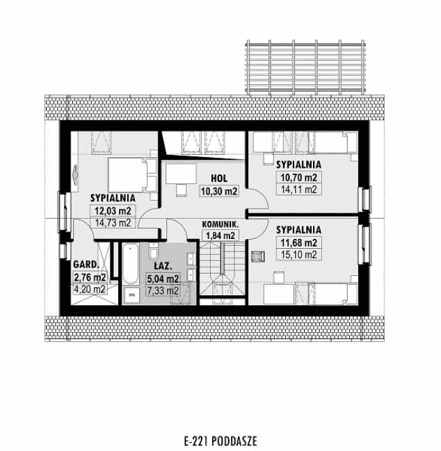 Rzut projektu E-221 -