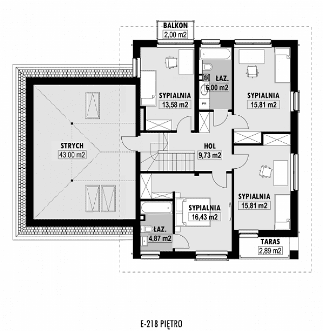 Rzut projektu E-218 -