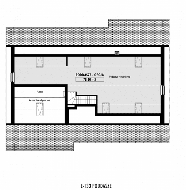 Rzut projektu E-133 -