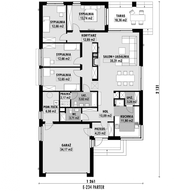 Rzut projektu E-234 -