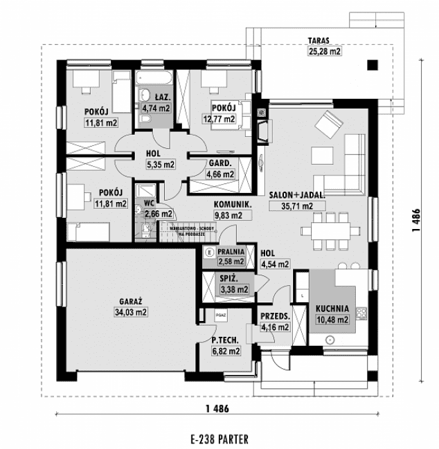 Rzut projektu E-238 -
