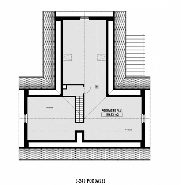 Rzut projektu E-249 -  