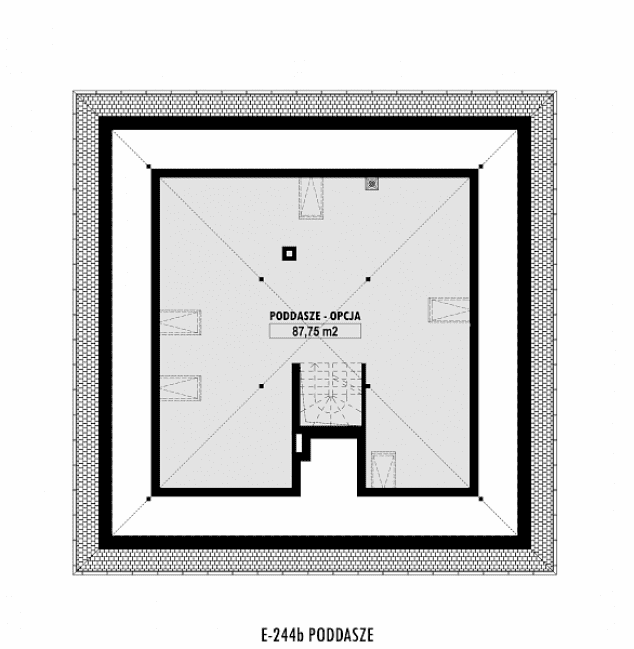 Rzut projektu E-244b -