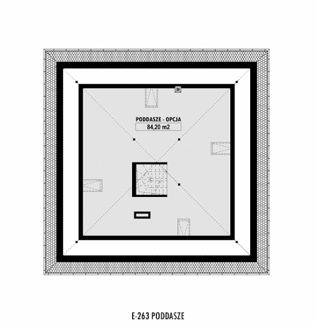 Rzut projektu E-263 -