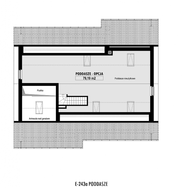Rzut projektu E-243a -