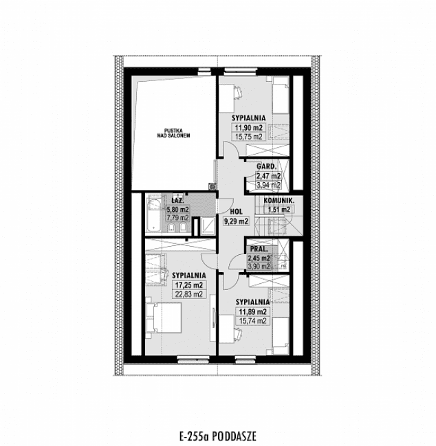 Rzut projektu E-255a -