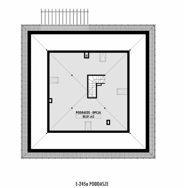 Rzut projektu E-245a -  