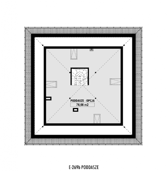 Rzut projektu E-269b -