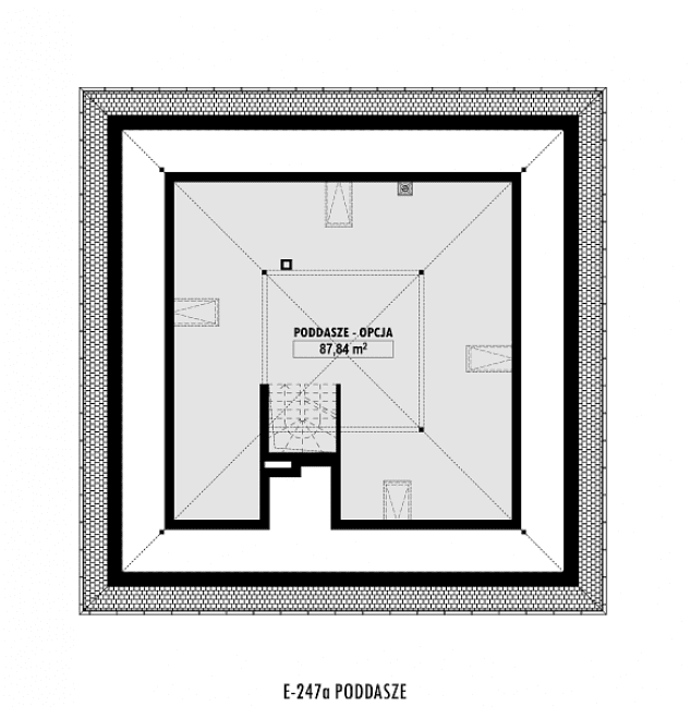 Rzut projektu E-247a -