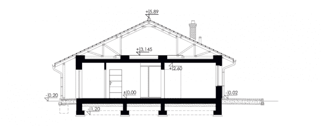 Rzut projektu Angustus III G1 - Przekrój