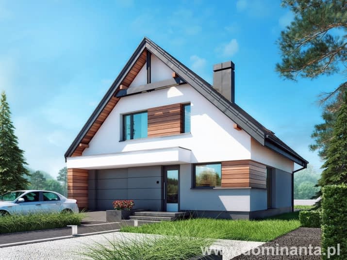 Nemo - wizualizacja 2