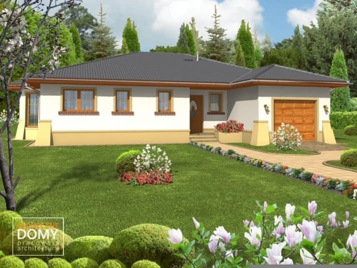 Galapagos - wizualizacja 2