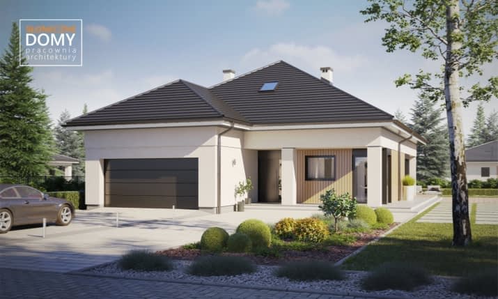 Patagonia B - wizualizacja 2