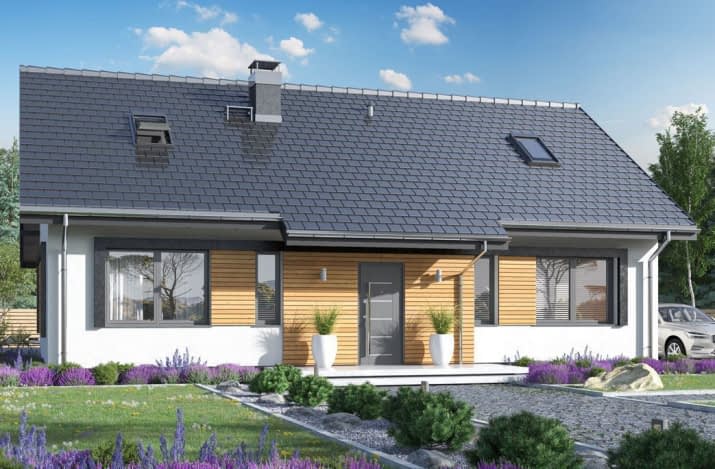 Terrier 7 bez garażu - wizualizacja 2