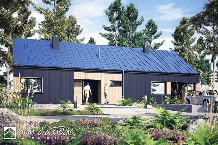 Mamba garaż - wizualizacja 2