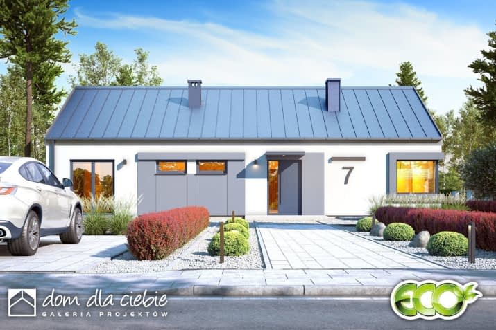 Hyzop - wizualizacja 2