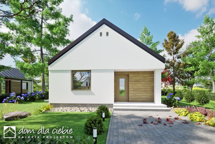 Mango - wizualizacja 2