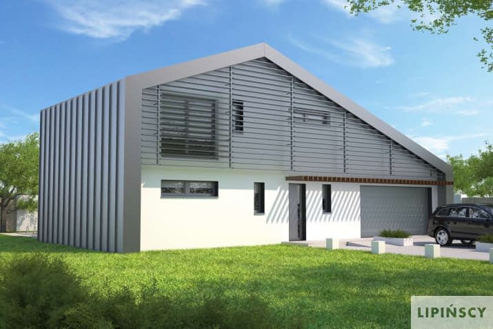 Temerin (DCP313) - wizualizacja 2