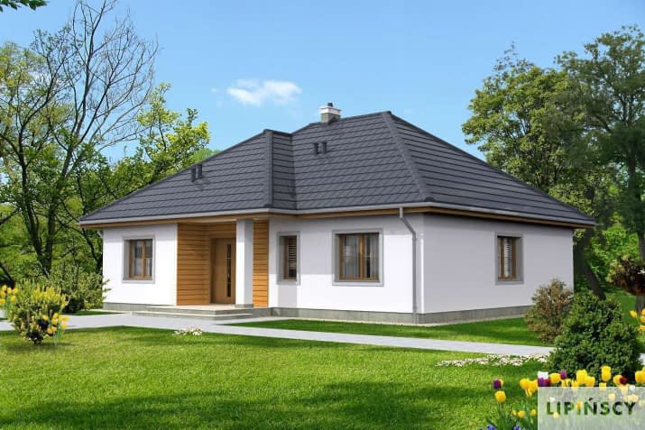 Saga III (LMB69b) - wizualizacja 2