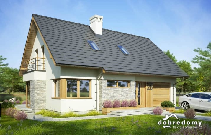 Dalia Nowa - wizualizacja 2