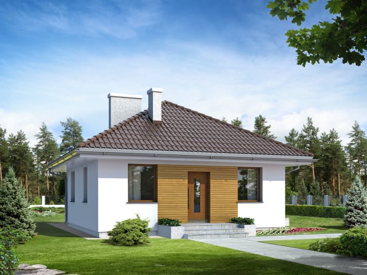 Imbir (CE) - wizualizacja 2