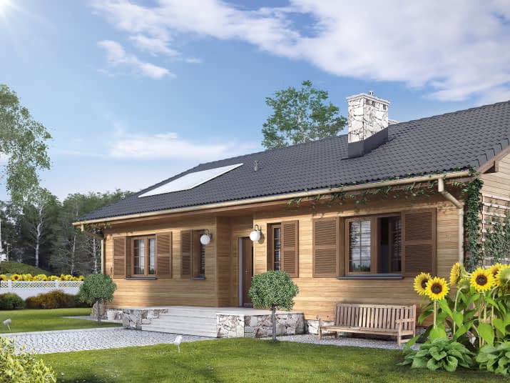 Borówka 5 dr-S (DR-S) - wizualizacja 2