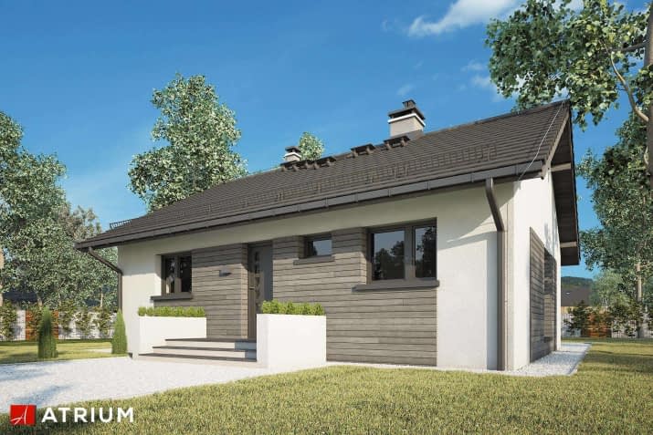 S-GL 1472 Ronaldo X - wizualizacja 2