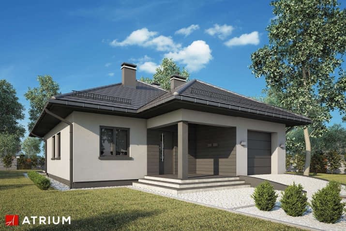 S-GL 1064 Cyraneczka - wizualizacja 2