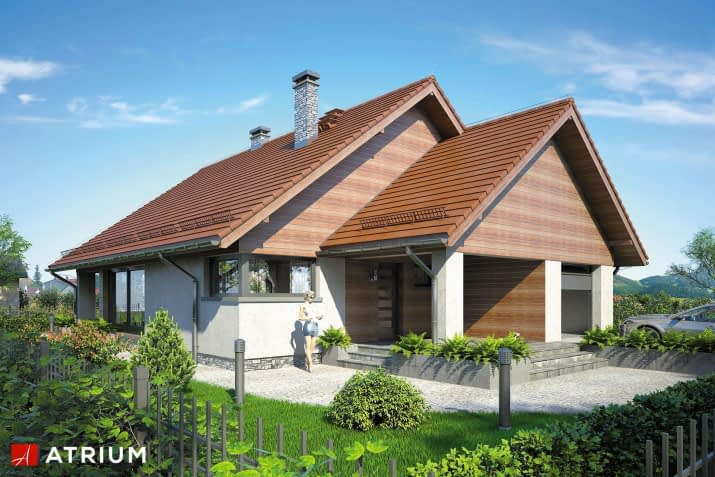 S-GL 879 Pelikan VIII - wizualizacja 2