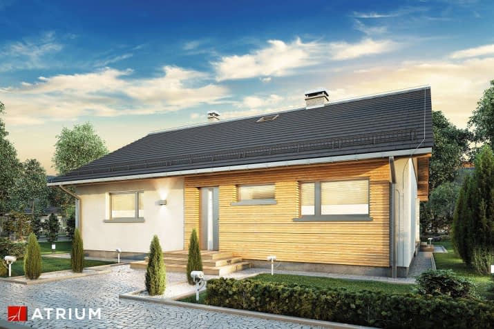 S-GL 1228 Roy III - wizualizacja 2