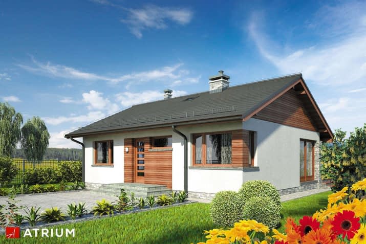 S-GL 9990971 Roy Sz - wizualizacja 2