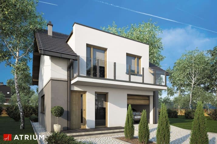 S-GL 1505 Single House - wizualizacja 2