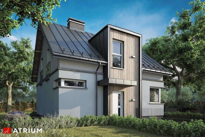 S-GL 697 Polo IV - wizualizacja 2