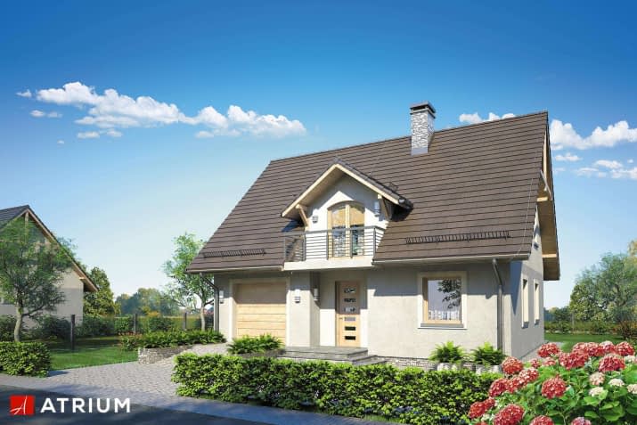 S-GL 1005 Comfort House - wizualizacja 2