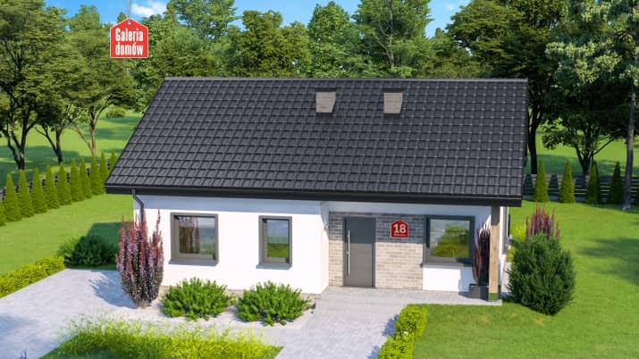 Dom przy Bukowej 18 - wizualizacja 2