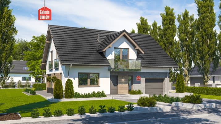 Dom przy Cyprysowej 101 - wizualizacja 2